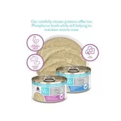Weruva Wx Low Phosphorus Cat Food -Pet Products WeruvaWxLowPhosphorusCatFoodTilapia TunainaHydratingPureeInfographic4
