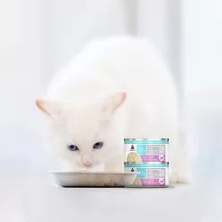 Weruva Wx Low Phosphorus Cat Food -Pet Products WeruvaWxLowPhosphorusCatFoodTilapia TunainaHydratingPureeLifestyle