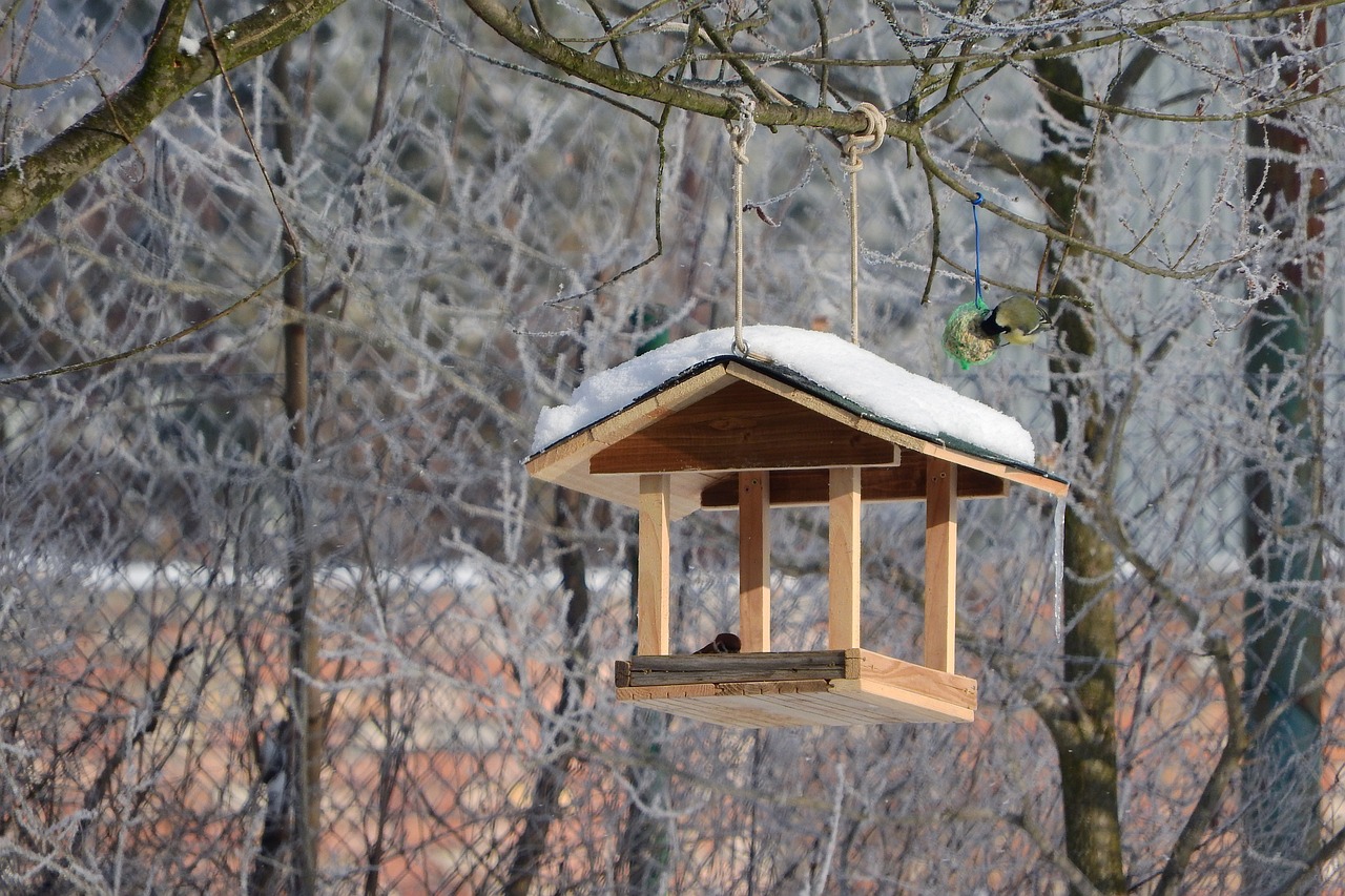 Pet Products -Pet Products a bird feeder for the birds 3956336 1280