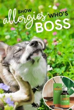 Alge-Ex For Dogs -Pet Products alge ex for dogs 92696.1680040826