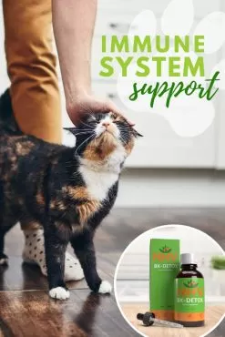 BK Detox For Cats -Pet Products bk detox for cats 17083.1680040954