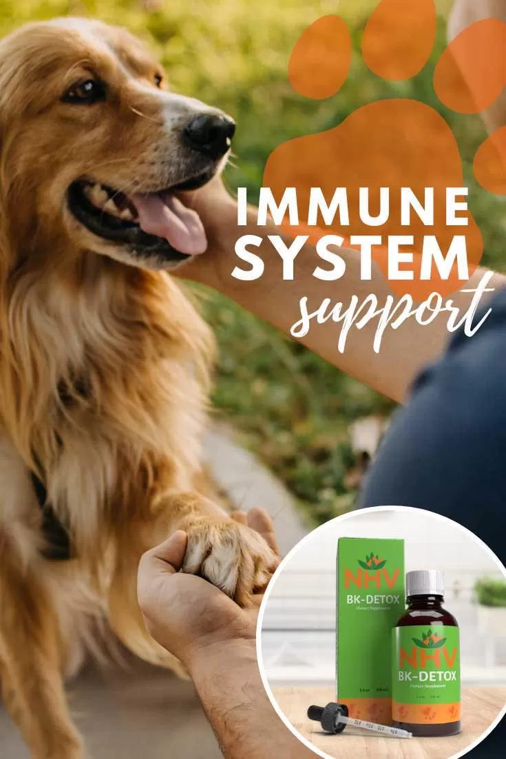 BK Detox For Dogs 5 BK Detox For Dogs - Image 3