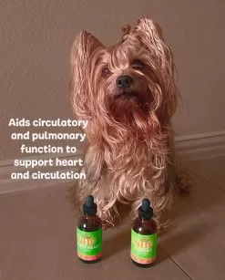 Cardiovascular Super Support Health Kit -Pet Products cardiovascular super support health kit 08713.1680040755