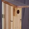Stovall Wood Ultimate Bluebird House With Window -Pet Products ccrp0447