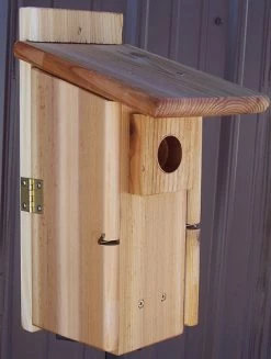 Stovall Wood Ultimate Bluebird House With Window