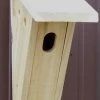 Stovall Wood Peterson Bluebird House -Pet Products ccrp0448