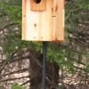 Stovall Western Mountain Bluebird House