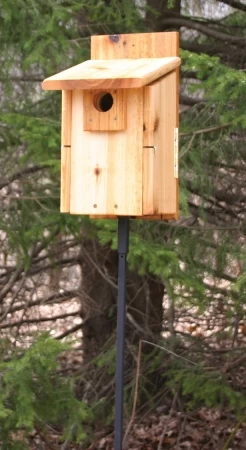 Stovall Western Mountain Bluebird House