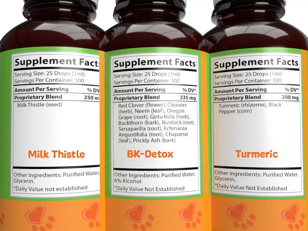 Gallbladder Kit 4 Gallbladder Kit - Image 2