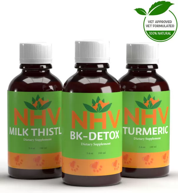 Gallbladder Kit 3 Gallbladder Kit