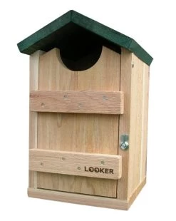 Songbird Essentials SE519 Screech Owl House