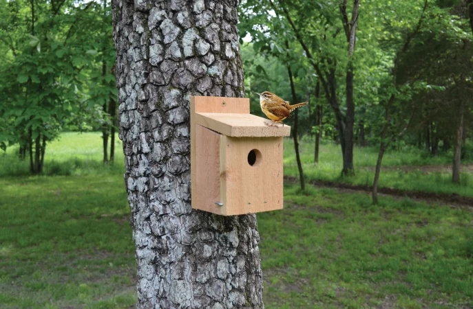 Songbird Essentials SETC100 Cedar Wren House 3 Songbird Essentials SETC100 Cedar Wren House