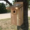 Songbird Essentials SESCS3004RW 6.5" W X 14.75" H X 10" D Ultimate Bluebird House