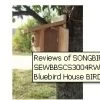 Western Bluebird Ultimate Bluebird House