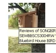 Western Bluebird Ultimate Bluebird House