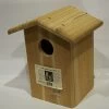 Songbird Essentials SESC1035C Screech Owl House