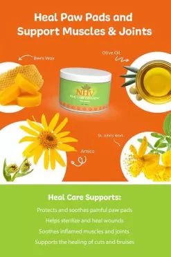 Heal Care Ointment For Cats 7 Heal Care Ointment For Cats -Pet Products heal care ointment for cats 33350.1680040734