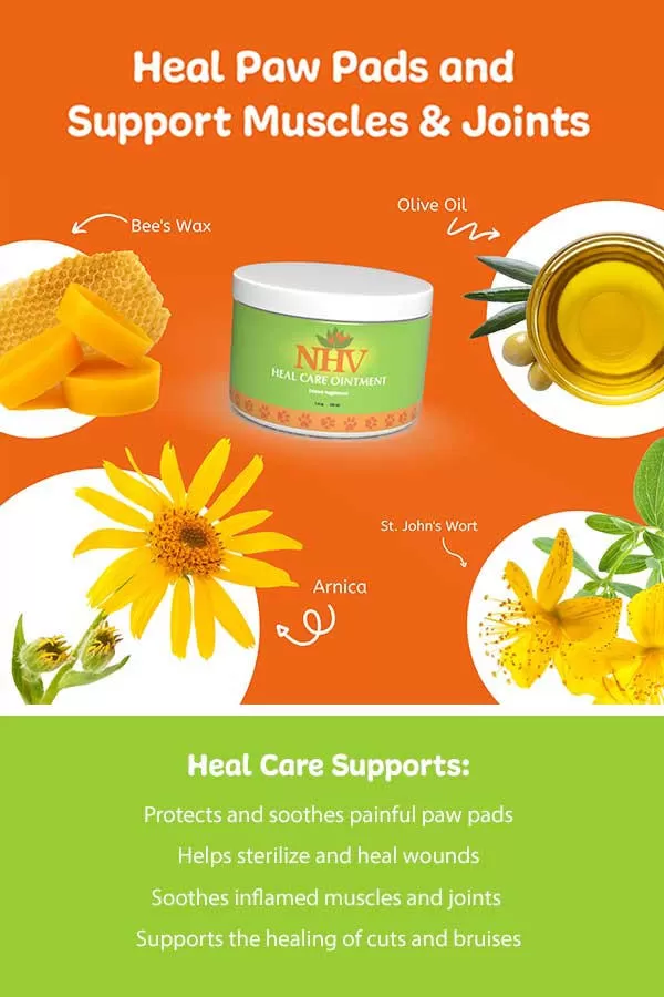 Heal Care Ointment For Cats 5 Heal Care Ointment For Cats - Image 3