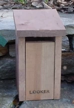 Looker Slot Bluebird Slot Bluebird House