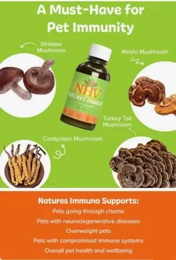 Natures Immuno For Cats 7 Natures Immuno For Cats -Pet Products natures immuno for cats 71947.1680040965