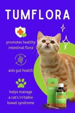 TumFlora For Cats -Pet Products nhv tumflora for cats 11266.1679954085