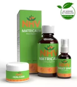 Travel Essentials For Pets