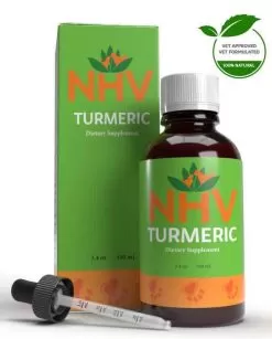 Turmeric For Dogs